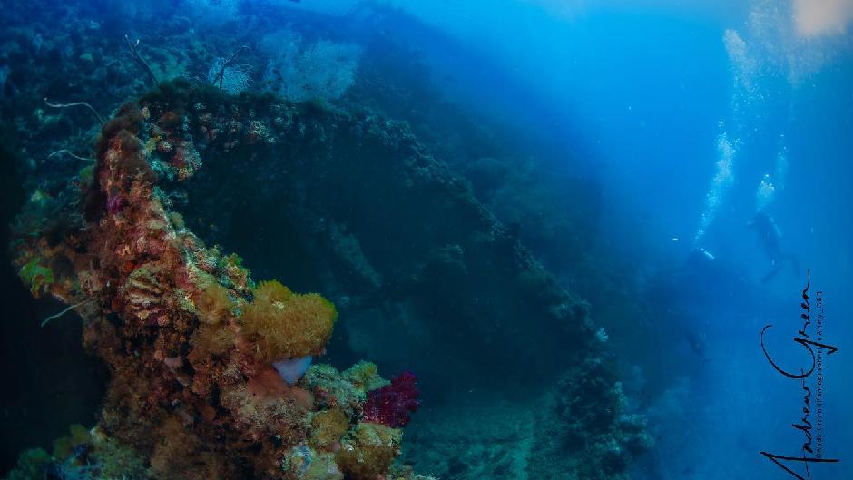 Come and see why Townsville's SS Yongala wreck dive is rated amongst the worlds best.